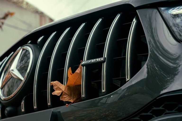 check nhentai website status