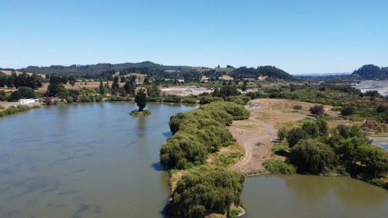 gala bingo status update